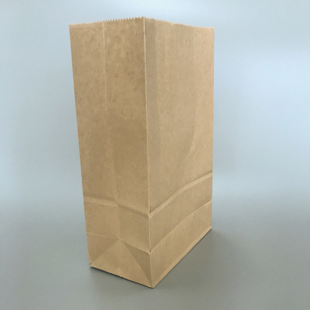 100 قطعة من أكياس الورق الكراف - مراجعة Food Storage Small وسعره