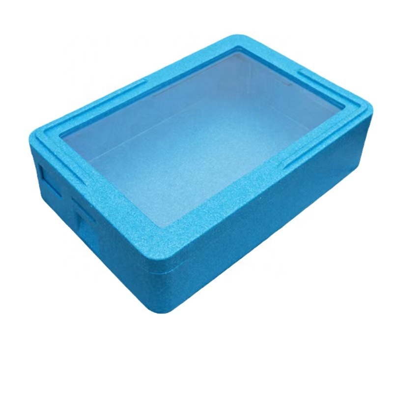 صندوق تبريد تجاري معزول من EPP - مراجعة Food Storage In Cooler وسعره