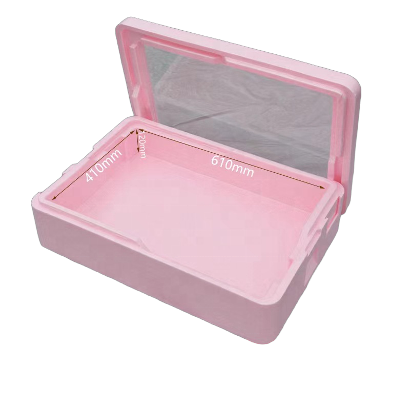 صندوق تبريد تجاري معزول من EPP - مراجعة Food Storage In Cooler وسعره